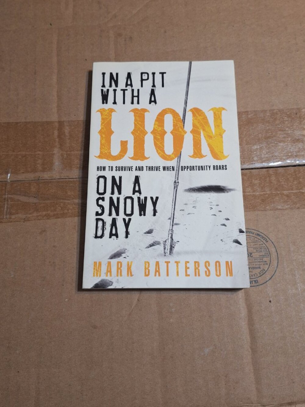 In a Pit with a Lion on a snowy day